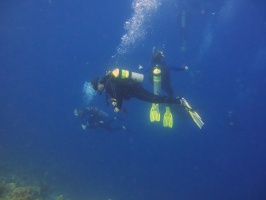 Divers IMG 7745